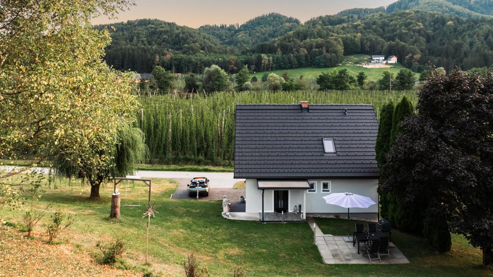 Ferienhaus Treissmann an der Weinstraße Leutschach Exterior foto